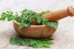 12 Manfaat daun kelor untuk ibu hamil & cara menggunakannya