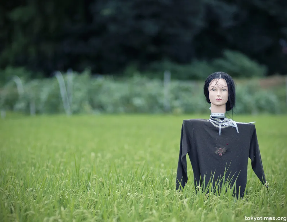 Orang-orangan sawah Jepang  Istimewa