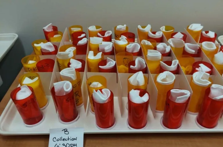 cium ketiak © 2019 brilio.net