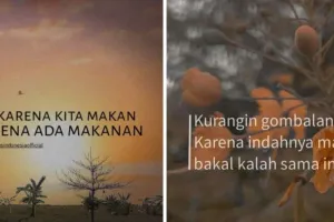 205 Kata-kata estetik dan keren, bikin caption medsos makin menarik 