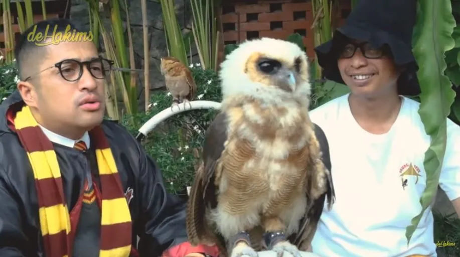 koleksi satwa irfan hakim YouTube koleksi satwa irfan hakim YouTube