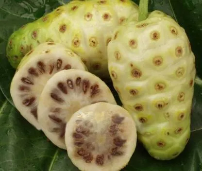 Cara obati difteri secara alami pexels.com Cara obati difteri secara alami pexels.com