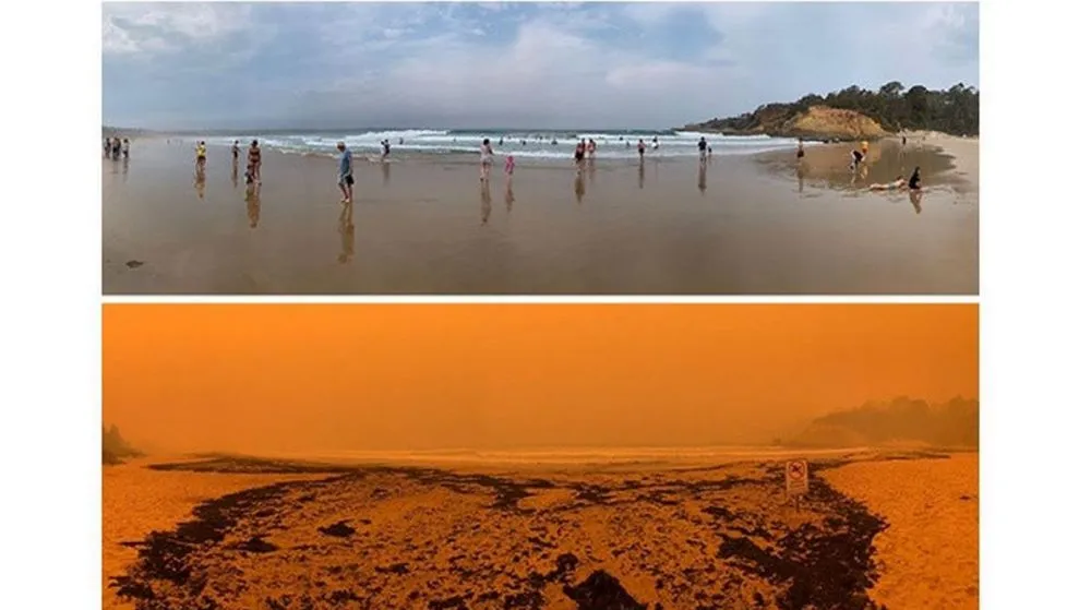 kebakaran australia 2020 © 2020 brilio.net