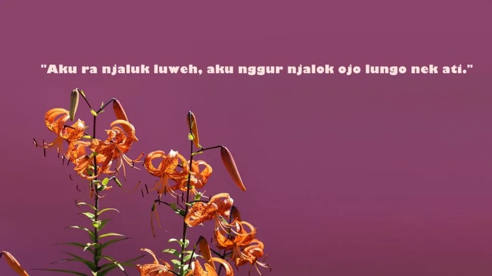 kata bucin bahasa Jawa © 2021 brilio.net