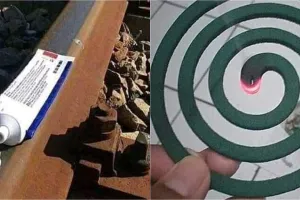 Ngaku teliti? Temukan kesalahan dalam 10 foto lucu ini