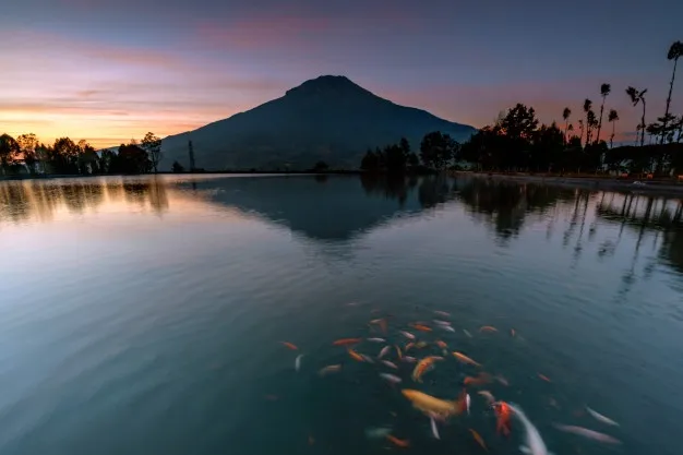 10 Destinasi panorama alam seperti Ranu Manduro © 2020 brilio.net 10 Destinasi panorama alam seperti Ranu Manduro © 2020 brilio.net