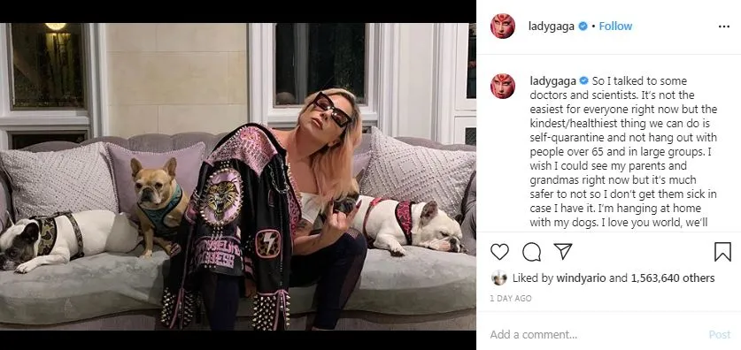 Lady Gaga pilih karantina © 2020 Instagram/@ladygaga