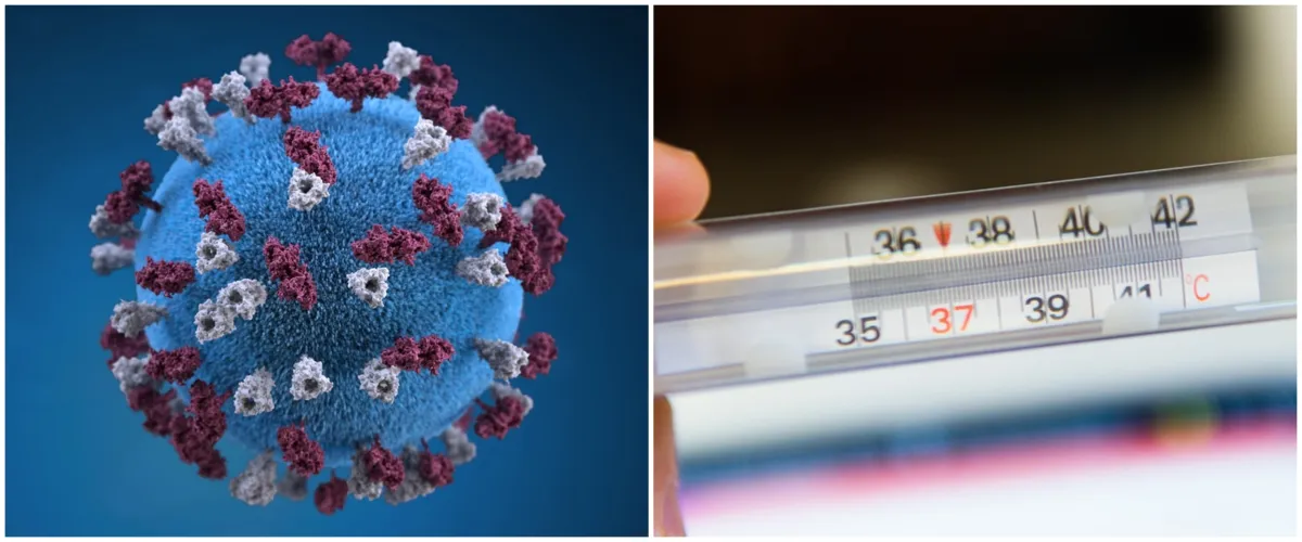 Pahami bagaimana cara penyebaran virus Corona agar tidak tertular