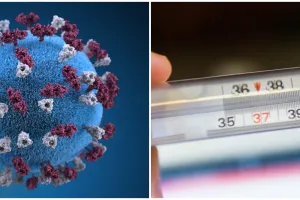 Pahami bagaimana cara penyebaran virus Corona agar tidak tertular