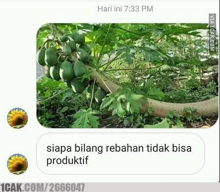 Meme rebahan 1cak.com Meme rebahan 1cak.com