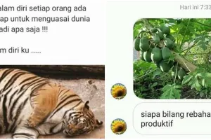 10 Meme rebahan ini bikin rasa bosan di rumah jadi hilang