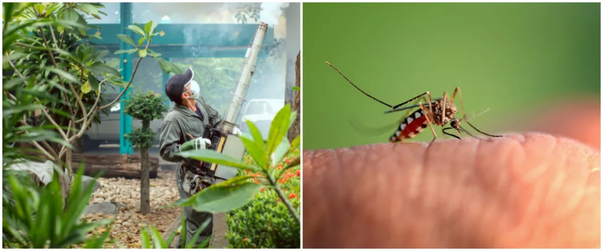 Corona belum usai, masyarakat diimbau waspada demam berdarah