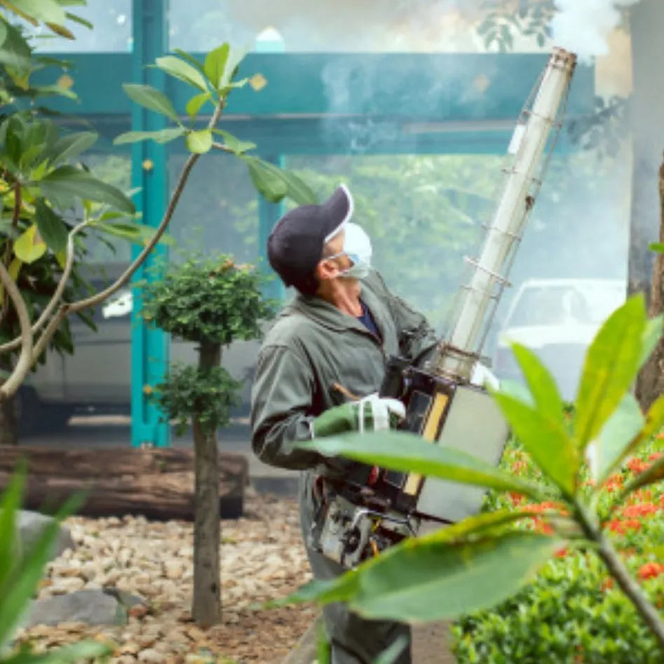 Corona belum usai, masyarakat diimbau waspada demam berdarah