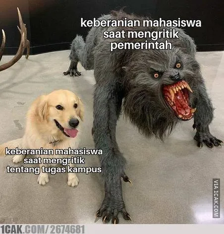 Meme tugas kuliah online 1cak.com Meme tugas kuliah online 1cak.com
