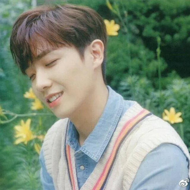 seleb korea hiatus Berbagai sumber 