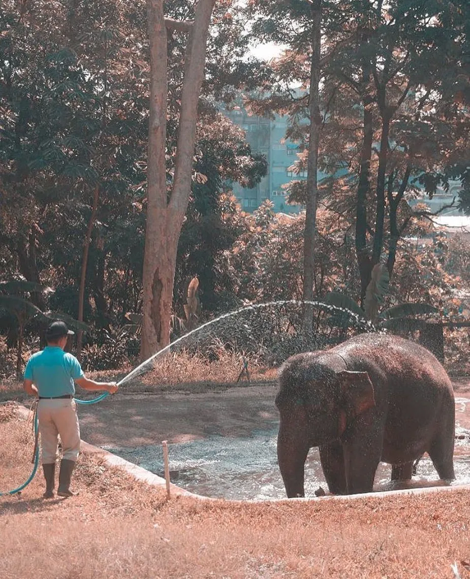 Lebaran di bandung © 2020 brilio.net