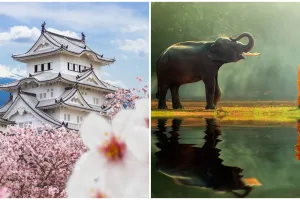 Usai pandemi, 3 negara ini bakal bayar kamu untuk traveling