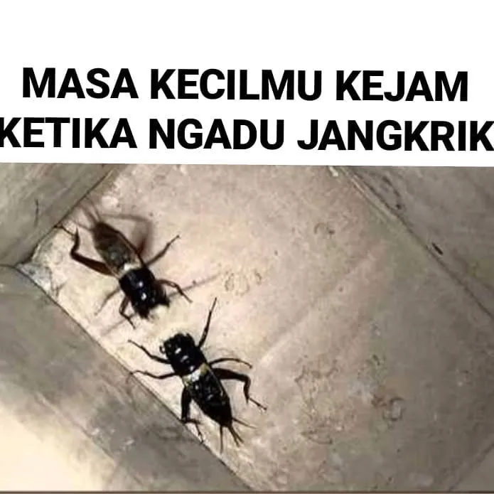 Meme kenakalan masa kecil Instagram Meme kenakalan masa kecil Instagram