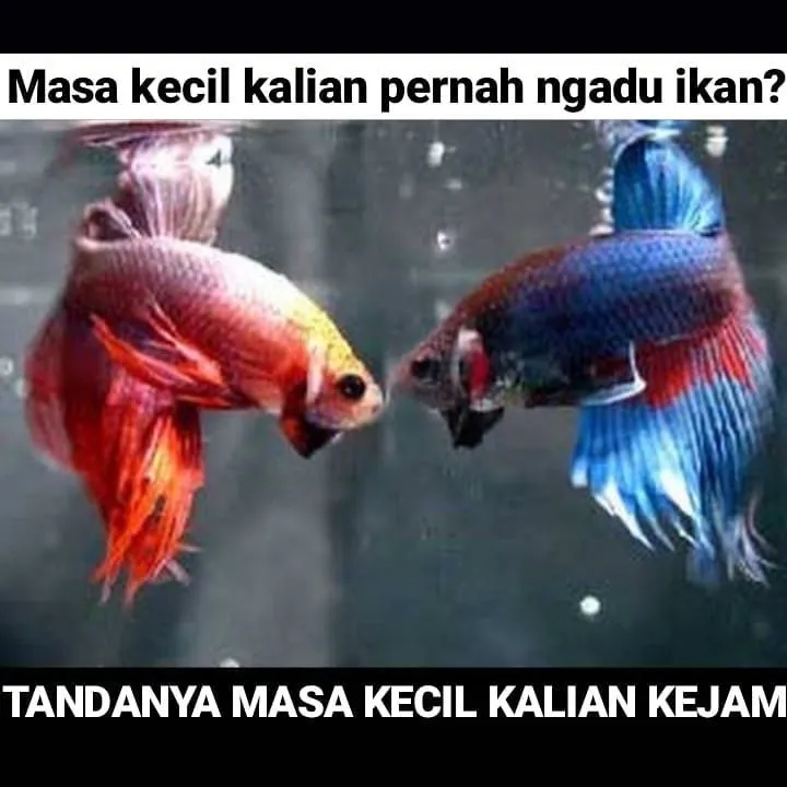 Meme kenakalan masa kecil Instagram Meme kenakalan masa kecil Instagram