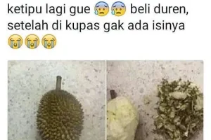 10 Status lucu orang salah beli ini bikin pengen ketawa
