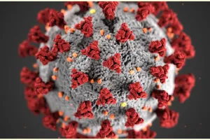 Penelitian terbaru ungkap Covid-19 tak sekadar penyakit pernapasan