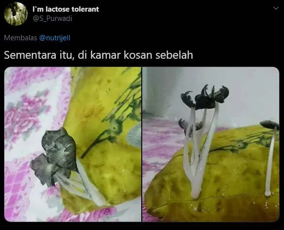 barang ditinggal kelamaan © 2020 brilio.net