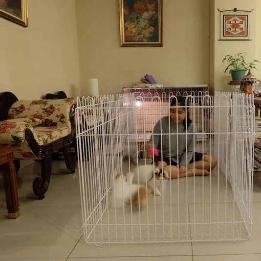 5 potret hotel kucing milik Tya Ariestya © 2020 brilio.net 5 potret hotel kucing milik Tya Ariestya © 2020 brilio.net