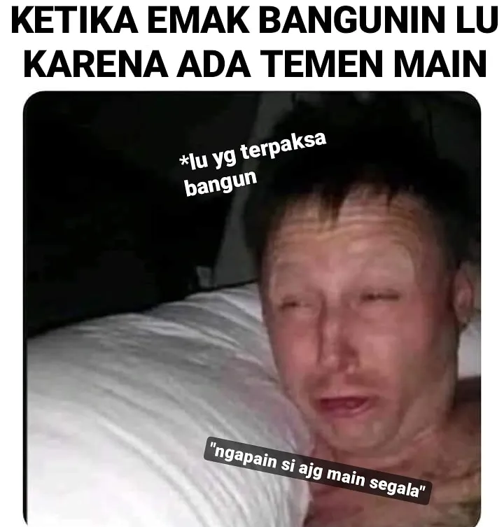 Meme alasan bangun tidur Berbagai sumber Meme alasan bangun tidur Berbagai sumber
