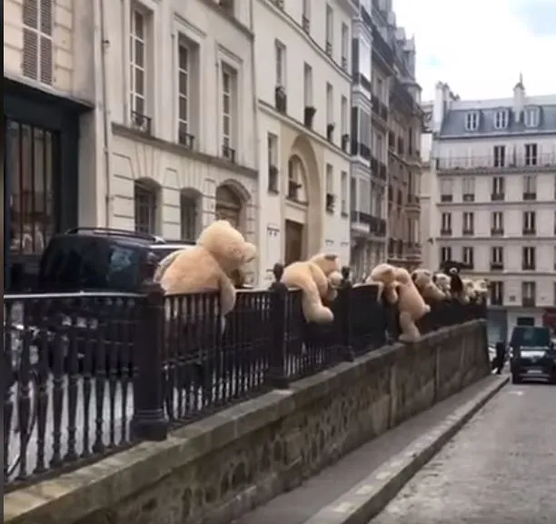 Teddy bear di paris © 2020 brilio.net Teddy bear di paris © 2020 brilio.net