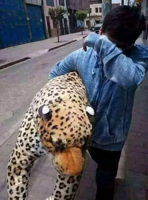 Potret lelaki ditolak gebetan Facebook/Muhammad Fiqih Rao Potret lelaki ditolak gebetan Facebook/Muhammad Fiqih Rao