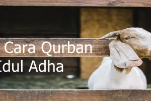 Tata cara qurban pada hari raya Idul Adha, lengkap, mudah dipahami