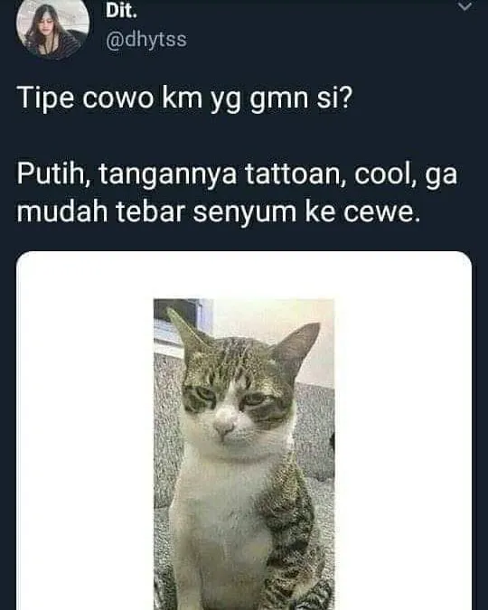 meme lucu ekspresi kucing © 2020 instagram.com meme lucu ekspresi kucing © 2020 instagram.com