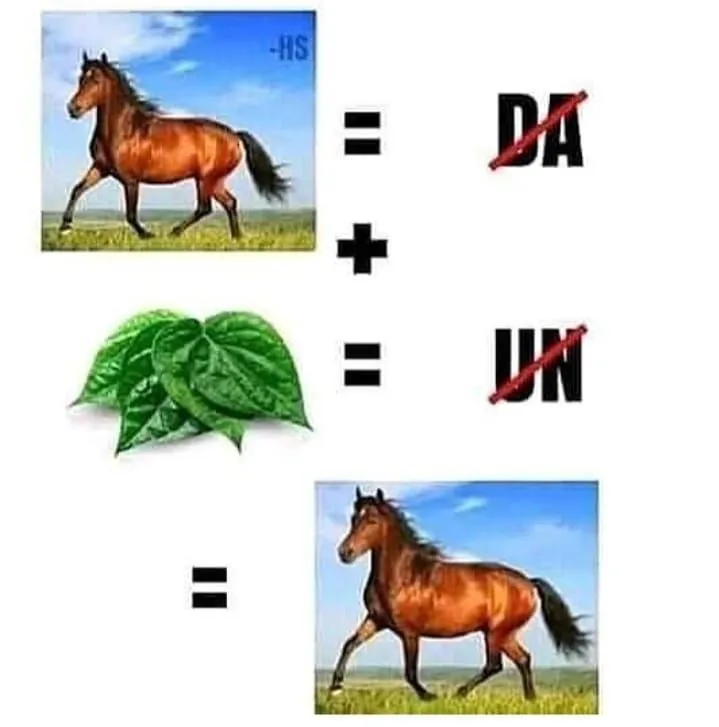 tebak gambar sabar berbagai sumber