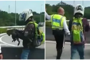 Aksi heroik pengendara bantu selamatkan monyet di jalan, bikin salut