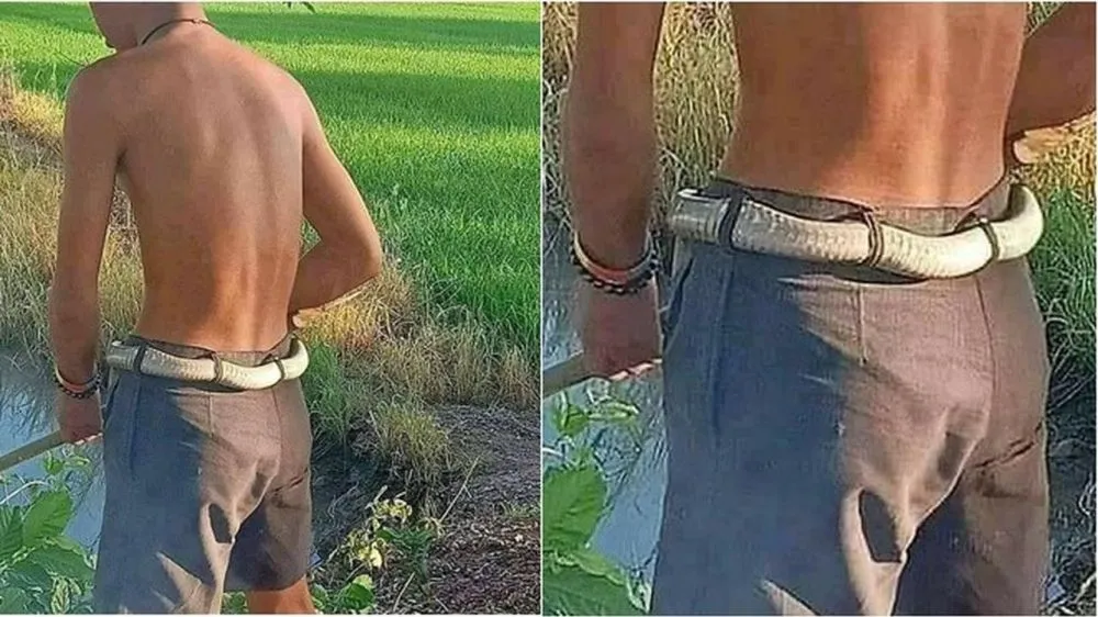 ikat pinggang absurd berbagai sumber