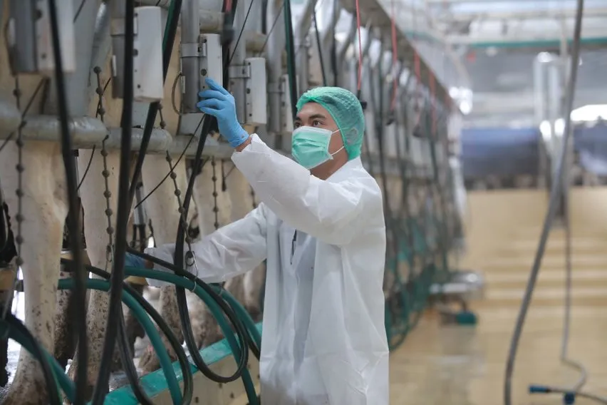 KIN Fresh Yogurt © 2020 brilio.net