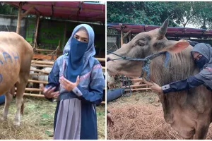 Momen 4 seleb berburu hewan kurban, ada yang borong 2 sapi