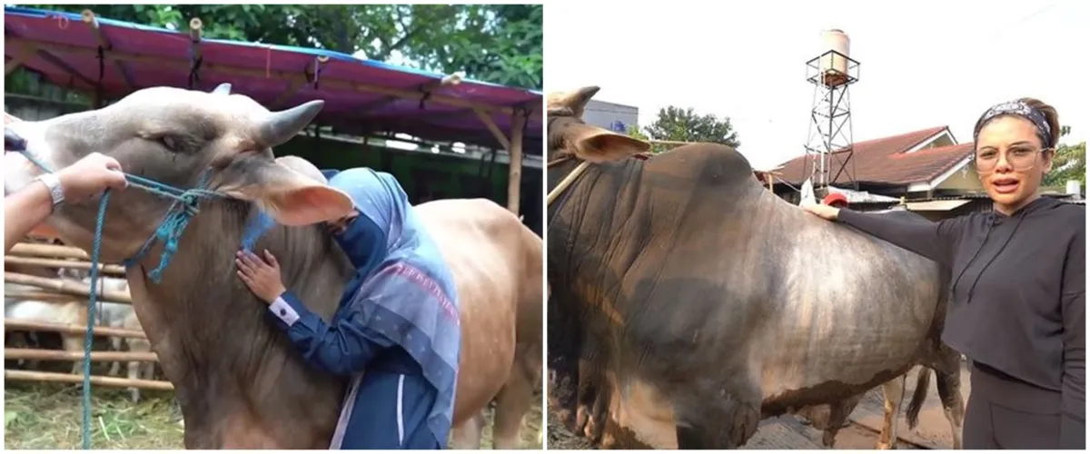 Momen lucu 3 seleb saat Idul Adha, hewan kurbannya dikasih nama lucu