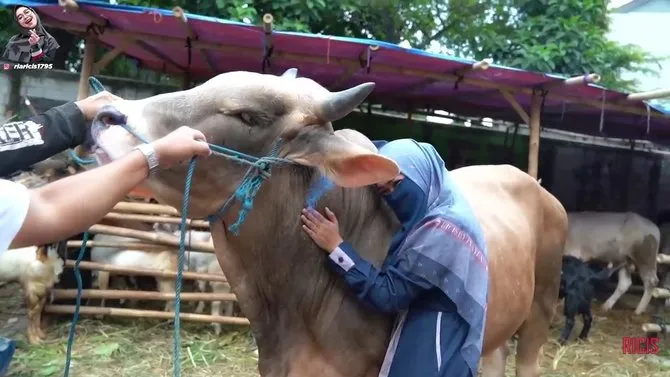 3 Momen lucu seleb saat momen Idul Adha © 2020 brilio.net 3 Momen lucu seleb saat momen Idul Adha © 2020 brilio.net