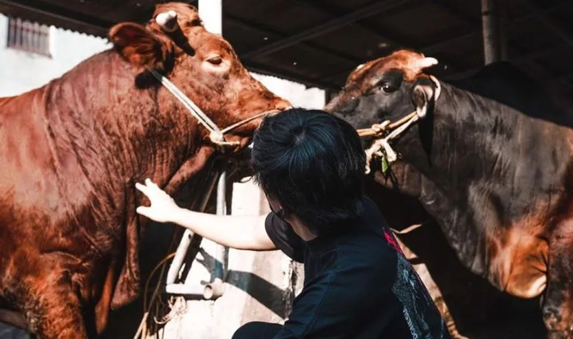 3 Momen lucu seleb saat momen Idul Adha © 2020 brilio.net 3 Momen lucu seleb saat momen Idul Adha © 2020 brilio.net