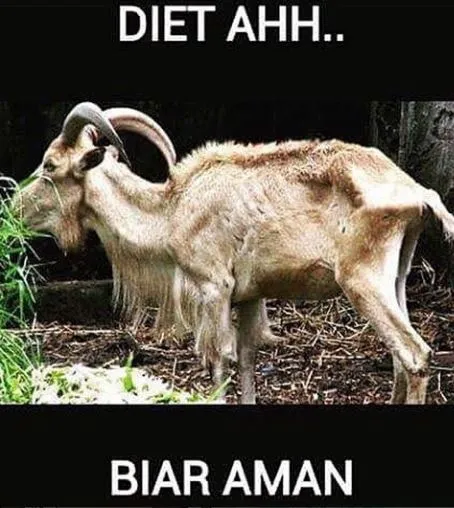 10 Meme lucu cara kambing kabur © 2020 brilio.net 10 Meme lucu cara kambing kabur © 2020 brilio.net
