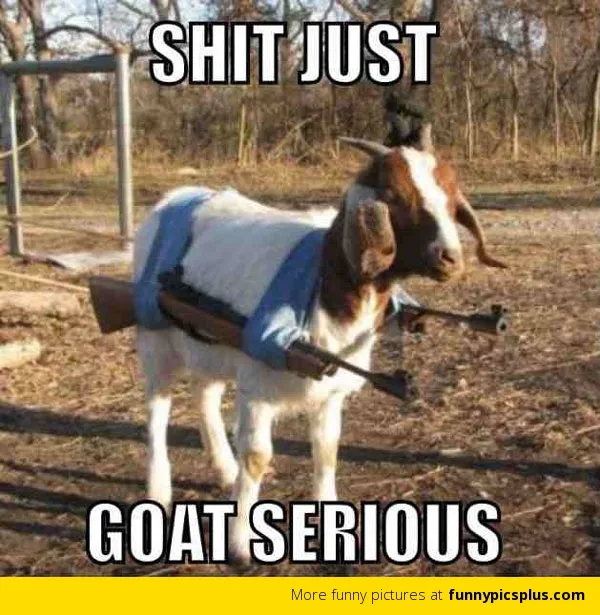 10 Meme lucu cara kambing kabur © 2020 brilio.net 10 Meme lucu cara kambing kabur © 2020 brilio.net