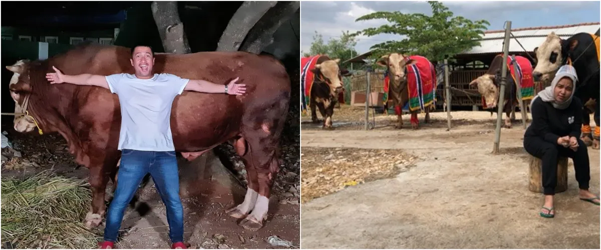 Rayakan Idul Adha, 5 seleb ini kurbankan hewan lebih dari satu