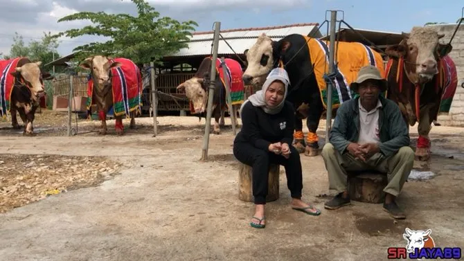 Kurban lebih dari satu © 2020 brilio.net Kurban lebih dari satu © 2020 brilio.net