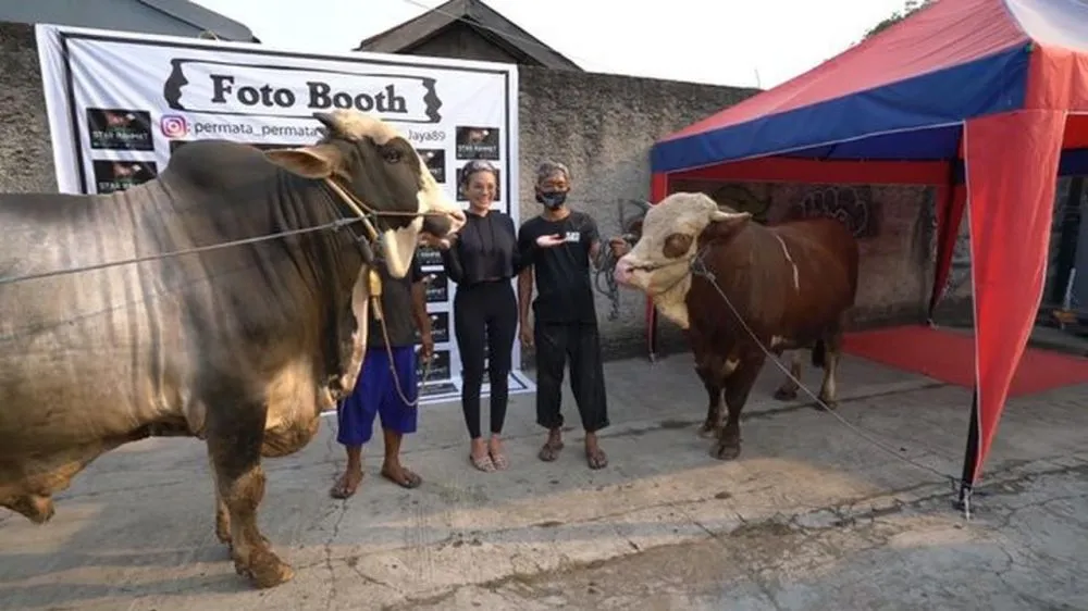 Kurban lebih dari satu © 2020 brilio.net Kurban lebih dari satu © 2020 brilio.net