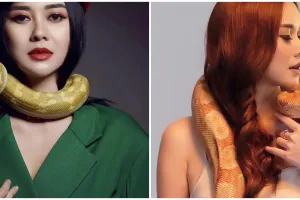 7 Potret Aura Kasih bareng ular, bikin bergidik