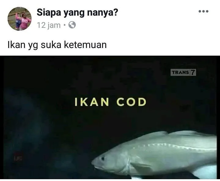 status lucu tebakan receh © 2020 instagram.com status lucu tebakan receh © 2020 instagram.com