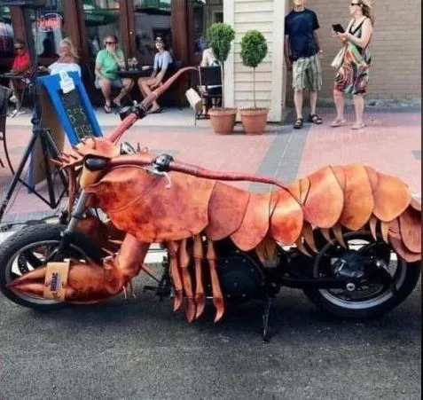 stang motor absurd Instagram stang motor absurd Instagram