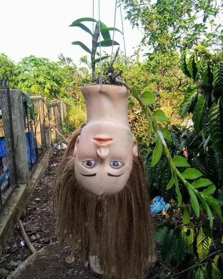 penampakan seram di tempat umum © 2020 instagram.com