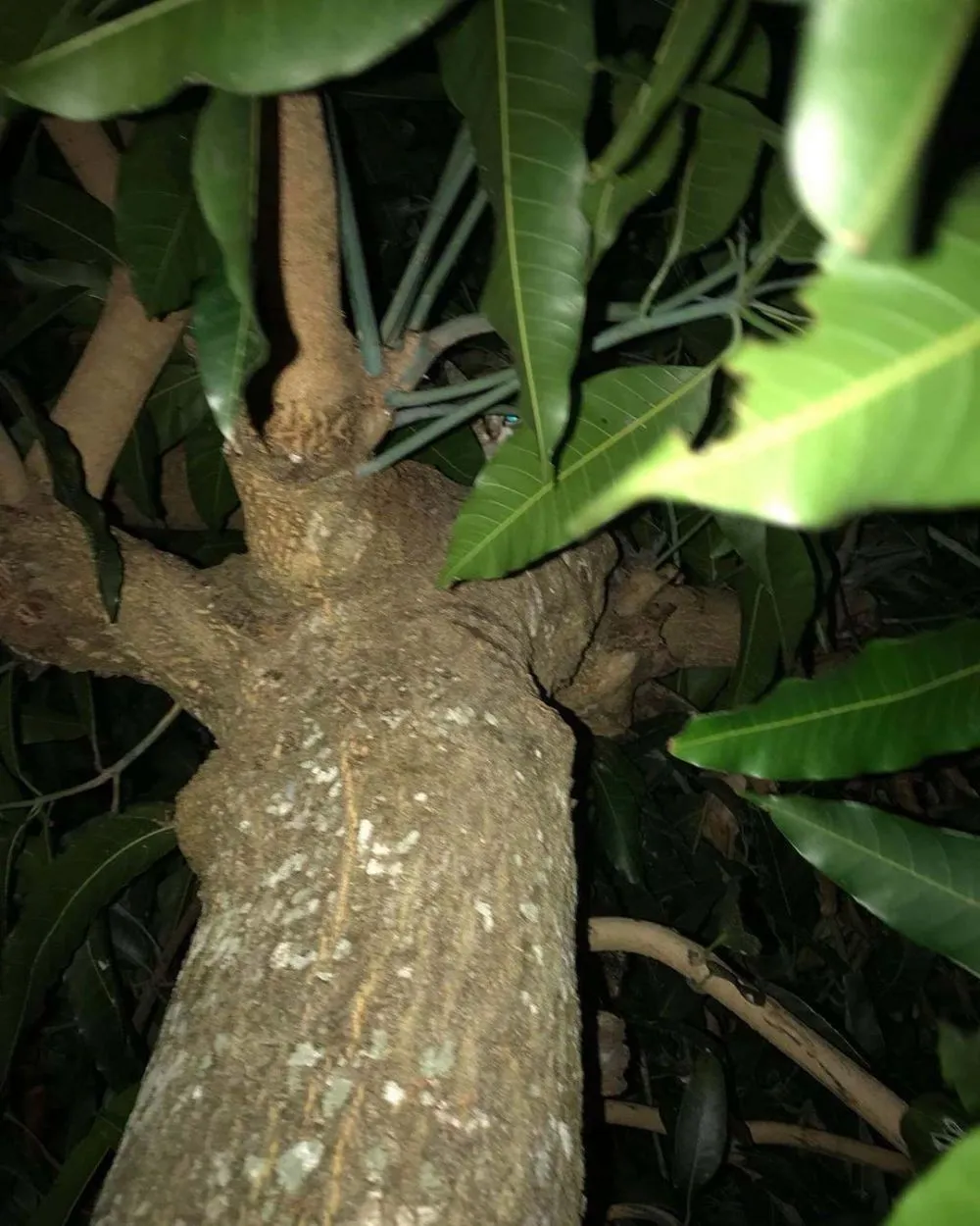 penampakan seram di tempat umum © 2020 instagram.com